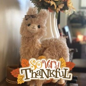 Meet your Posher, D.j.